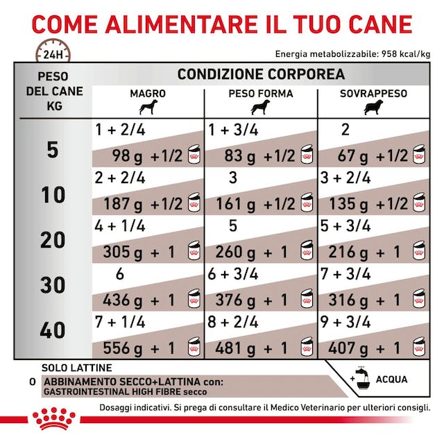 Royal Canin Gastrointestinal High Fibre 400gr - Alimento Umido per Cani Royal Canin Gastrointestinal High Fibre 400gr - Alimento Umido per Cani